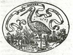 Emblem illustration for II vii 95