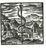 Emblem illustration for II iii 70