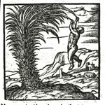 Emblem illustration for I iii 4
