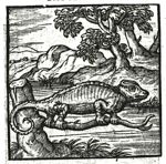 Emblem illustration for III iv 1