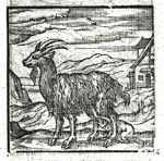 Emblem illustration for II i 86