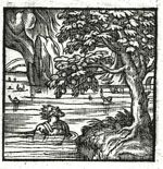 Emblem illustration for II vi 14