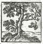Emblem illustration for II ii 22