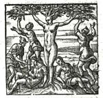 Emblem illustration for II vii 62