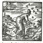 Emblem illustration for III ii 65