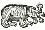 Emblem illustration for III v 67