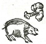 Emblem illustration for I i 15