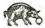 Emblem illustration for I vi 24
