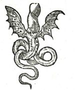 Emblem illustration for II ii 39