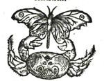 Emblem illustration for II iv 78