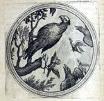 Emblem illustration for III iii 18