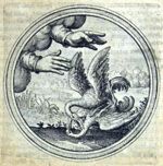 Emblem illustration for II viii 34