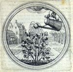 Emblem illustration for II iv 95