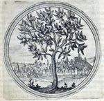 Emblem illustration for I viii 60