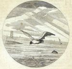 Emblem illustration for III ix 67