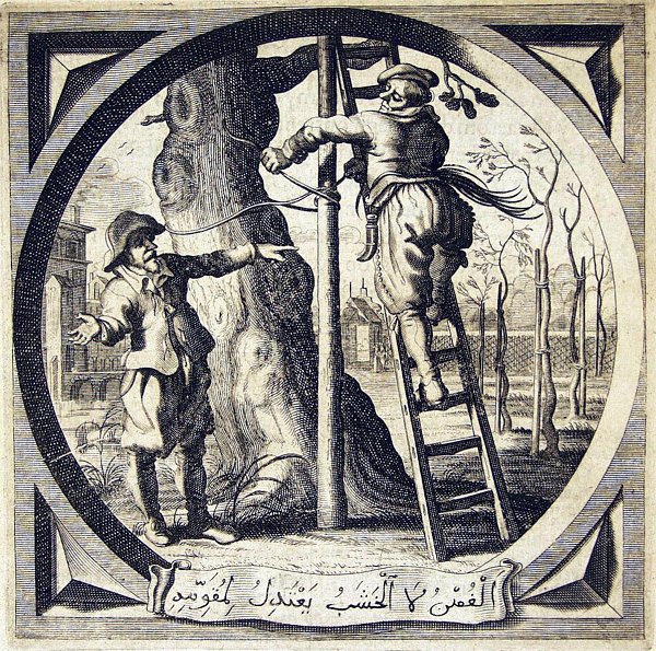 A man is tying a big old tree to a pole to straighten it, like the young trees in the background; another man tells him that this is a useless effort.