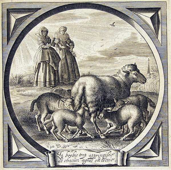 The older woman warns the young woman against being too friendly to men or she'll end up like a ewe being taken advantage of by every hungry lamb