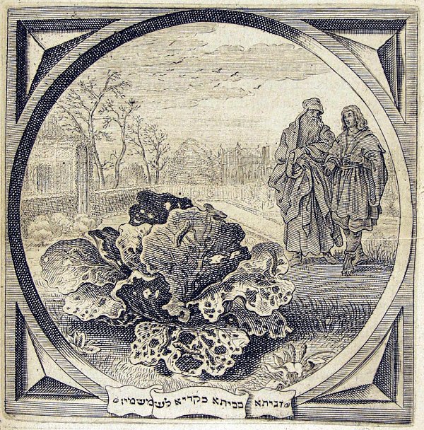 An old man is warning a young man for prostitutes, because they will destroy him like caterpillars destroy a cabbage
