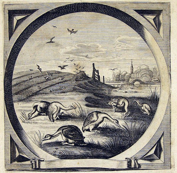 Emblem 61