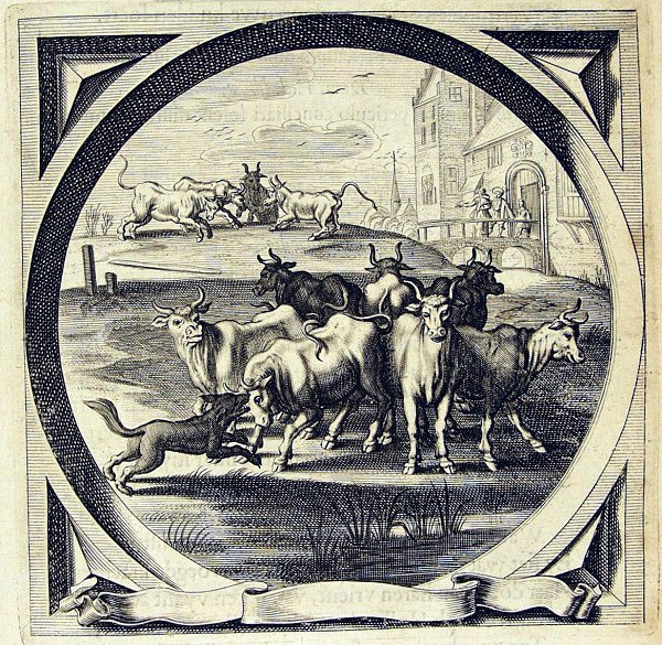Emblem 116