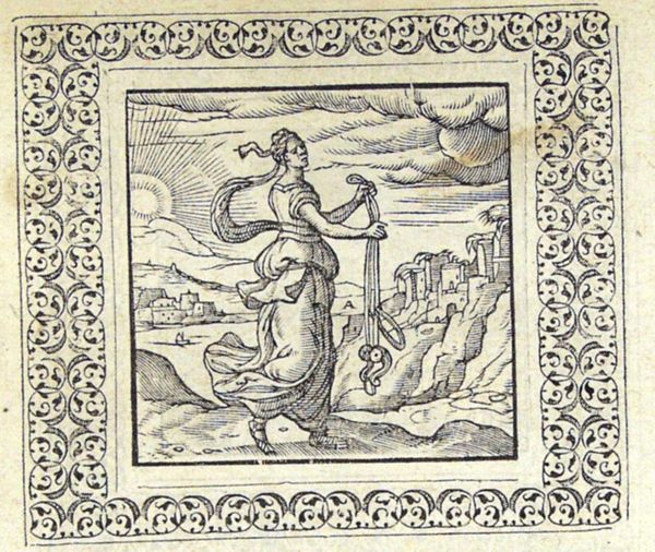 Nemesis with a bridle walking on a shore