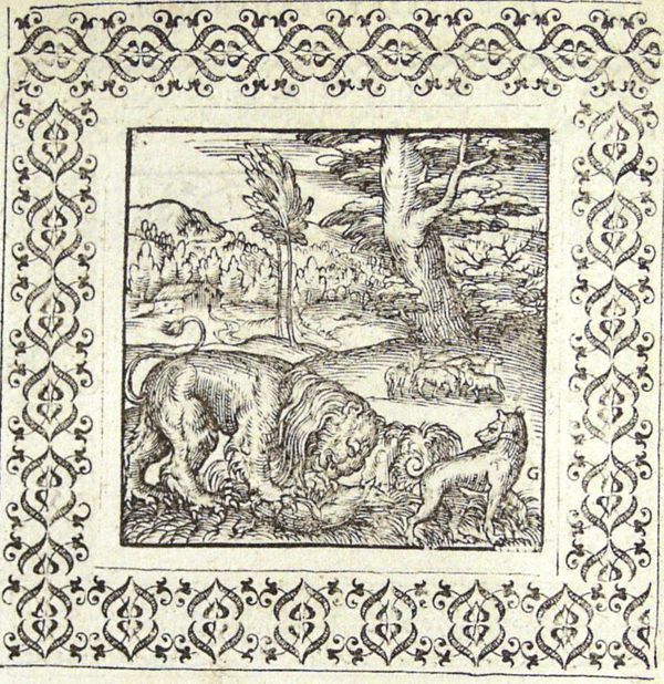 A dog watches a lion devour a young deer
