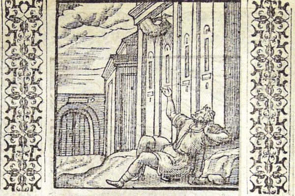 A man looking at a swallow
