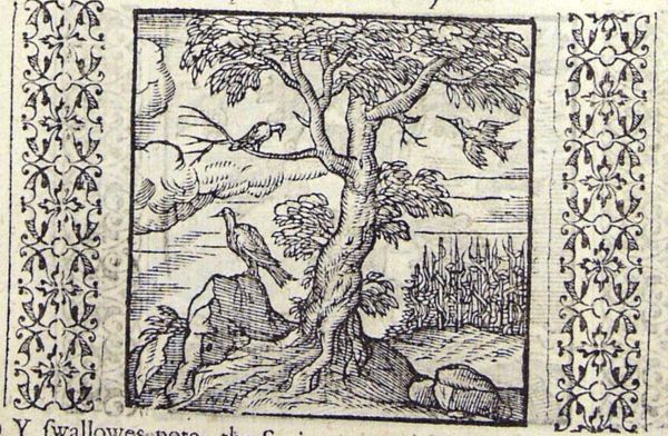 Birds on a tree symbolize the seasons: robin (winter), swallow (spring), cuckoo (summer), beccafico (autumn) (only three are depicted)