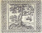 Emblem illustration for II ii 22
