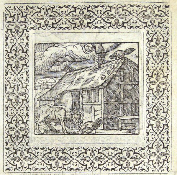 A chicken eating its own eggs, a cow with a basket of fodder
