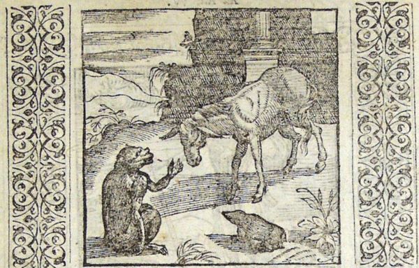 The ass complains he has no horns, the monkey complains he has no tail; the mole compares that to the blindness that is his own handicap