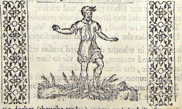 A man trampling a sorrel (dock) plant