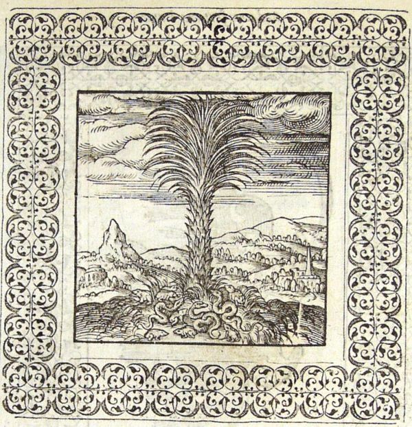 Frogs and snakes at the foot of a palm-tree