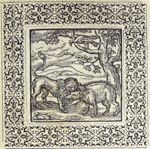 Emblem illustration for I vii 14
