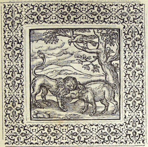 A boar and a lion fighting; a vulture on a branch watches and waits