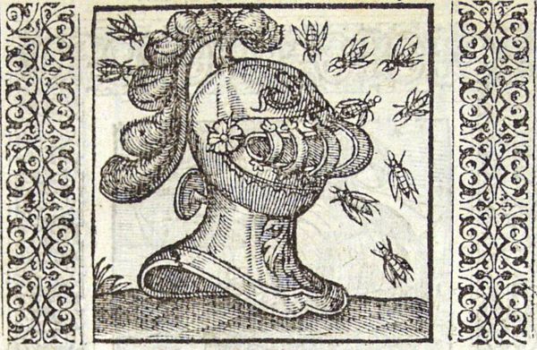 A helmet is used as a hive by a swarm of bees