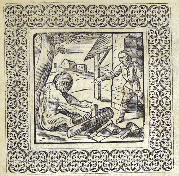 While the workman slept, the ape has crushed his foot, playing with the pieces of wood