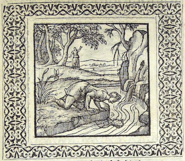 Narcissus kneels at a stream, admiring his own reflection