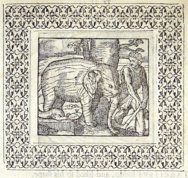 An elephant is leaning against a tree that a man has begun to cut down
