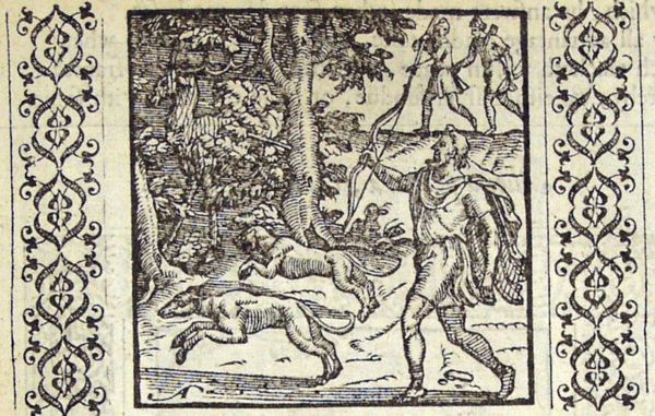 A hunted stag, having escaped to the woods, gives its position away to the hunter and the dogs by the noise he makes when eating from a tree
