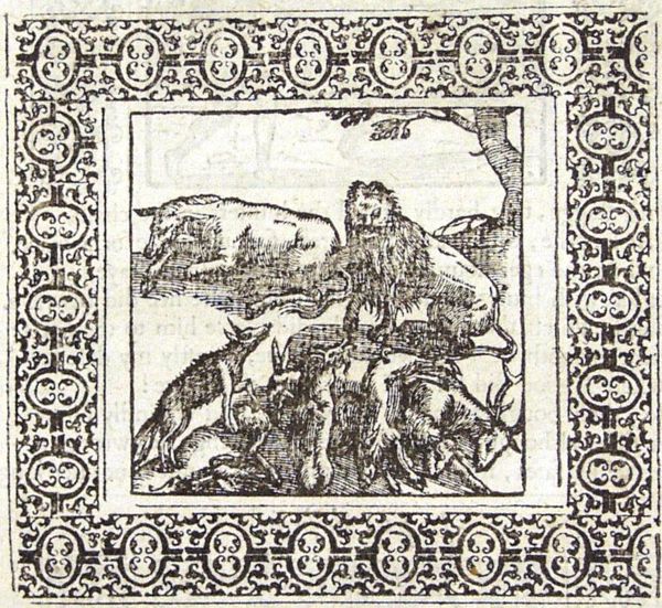 The foxes leave the best part of their prey to the lion, unlike the ass who is thereupon torn apart by the lion