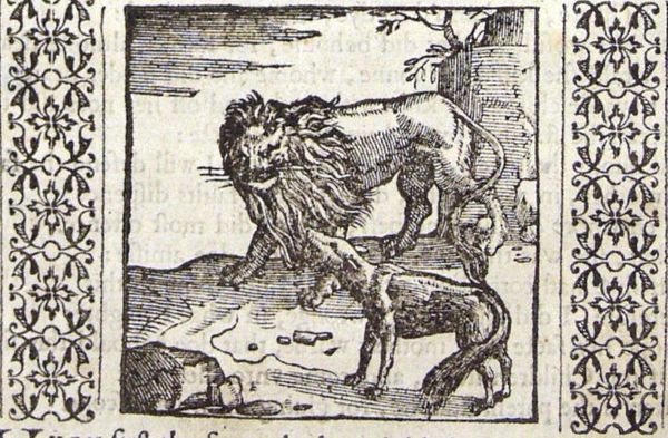 The more often the fox meets the lion, the less afraid he becomes
