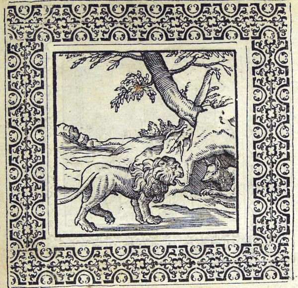 The lion offers to cure the sick fox, hiding in a cave, by licking her with his healing tongue; the fox declines, pointing out that the tongue has dangerous neighbours