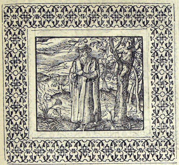 A boy picking fruits from a tree, an elderly man, coltsfoot