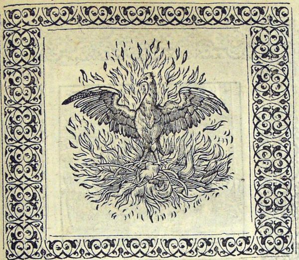 A phoenix standing in a fire