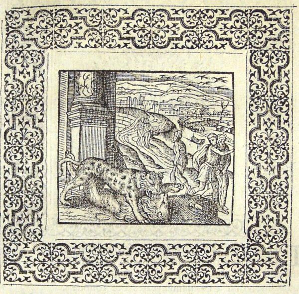 A tiger and a lion fighting; a road with travellers