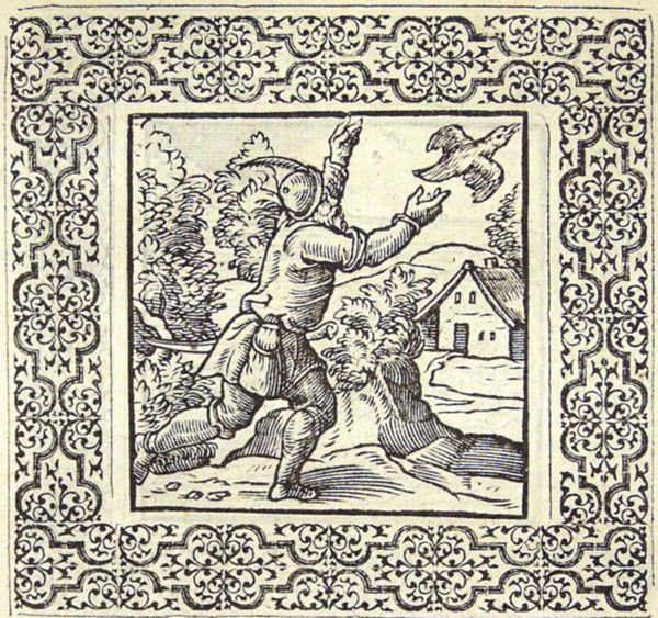 A man is trying in vain to catch the bird he has inadvertently released