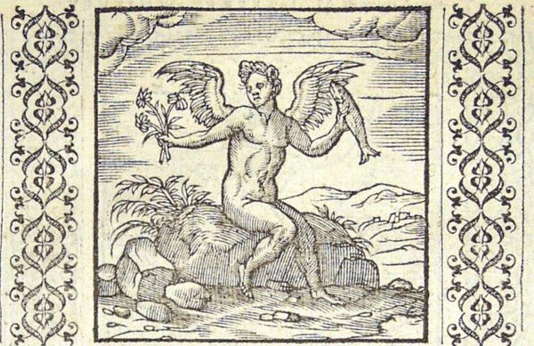Cupid sits on a seashore holding a bunch of flowers in one hand and a fish in the other