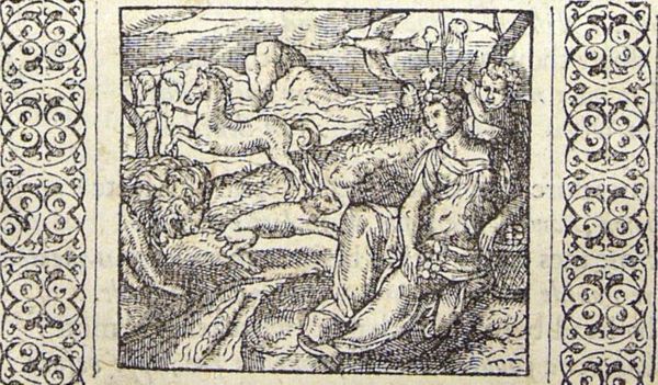 A lion, a horse, a hare, a fish, a bird (all have their own 'weapon'), a woman (beauty as her weapon) and Cupid