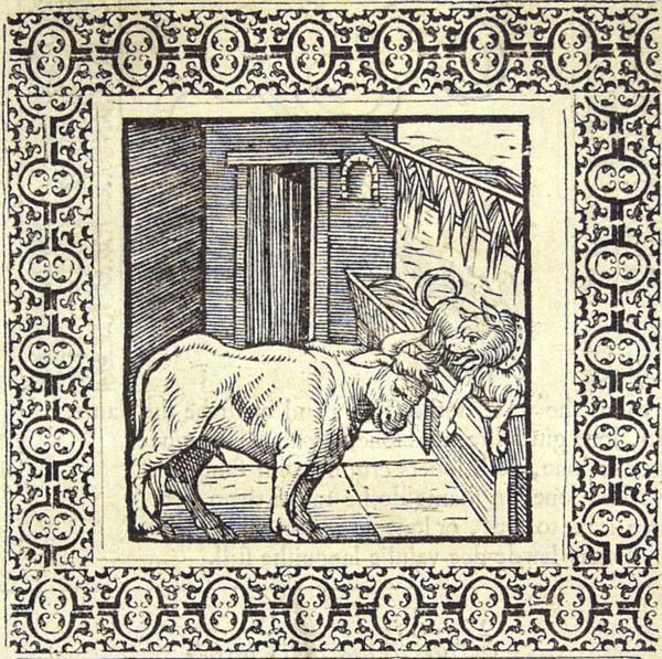 A dog is lying in the manger, growling at the ox and thus preventing it from eating